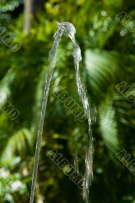 Spurt of water