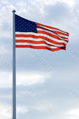 USA Flag