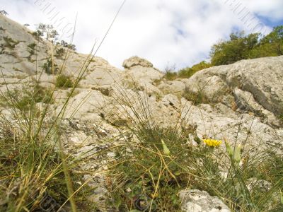 Spring in mountains