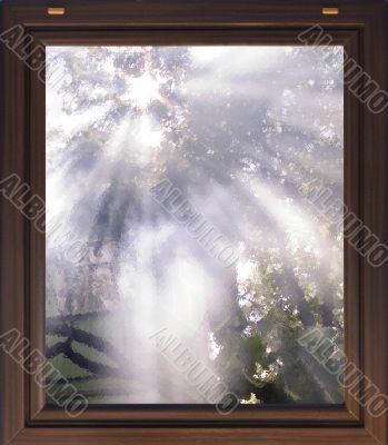 Foggy morning