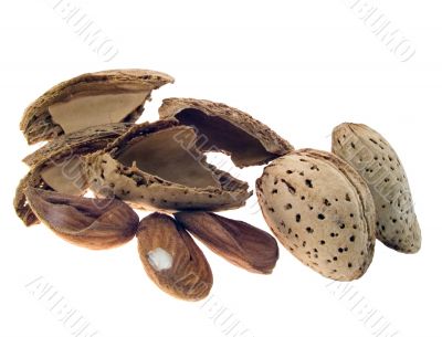 Almond nuts