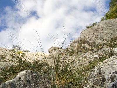 Spring day in mountains
