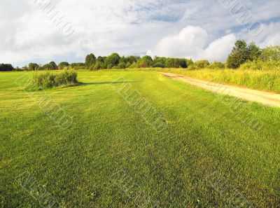 Green field