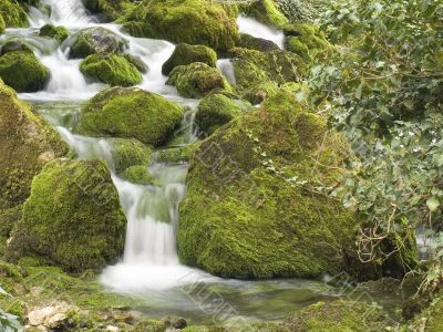 The spring mountain river