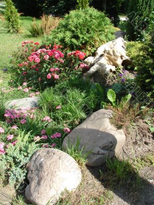 Flower bed blossoming