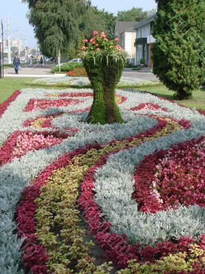 Flower bed blossoming
