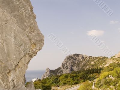 Mountain a cat