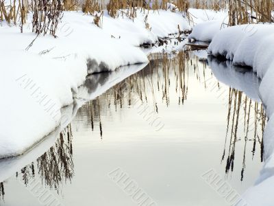 The winter river in a wood