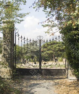 Metal gate