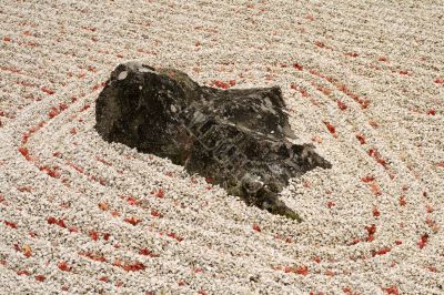 Autumn Zen garden