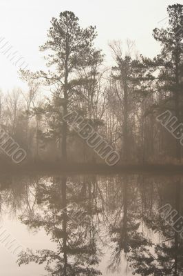 foggy lake