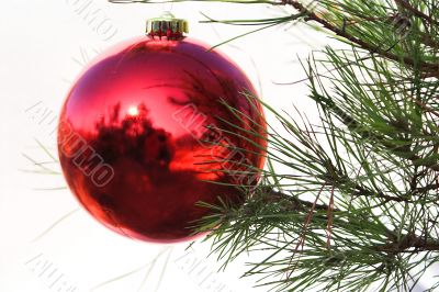 Christmas ornament