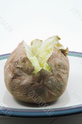 baked potato