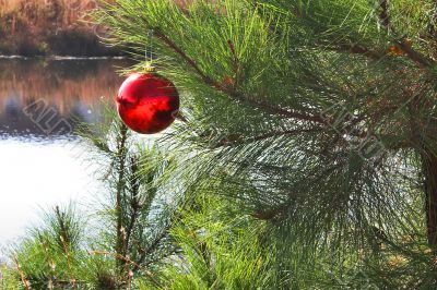 Christmas ornament