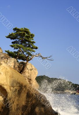 Matsushima