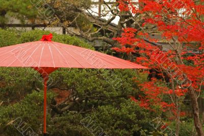 Red Japanese umbrella