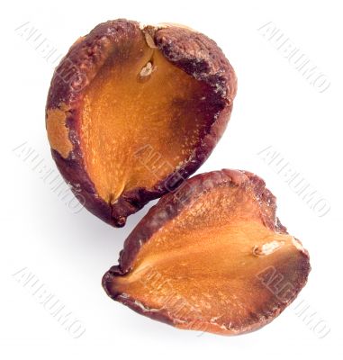 Two parts from seeds