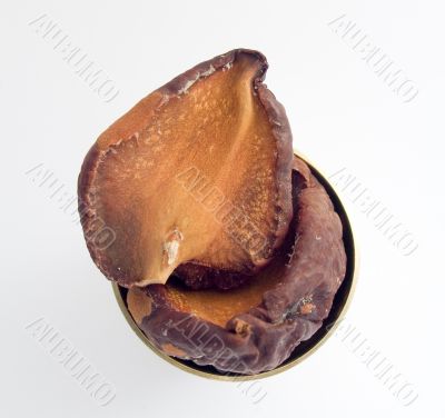 Two parts from a seed of an avocado