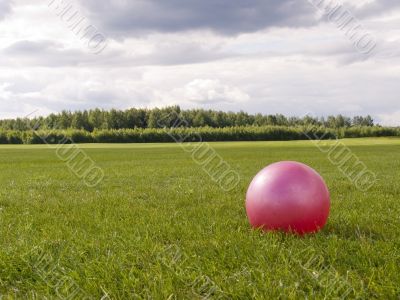 Green lawn