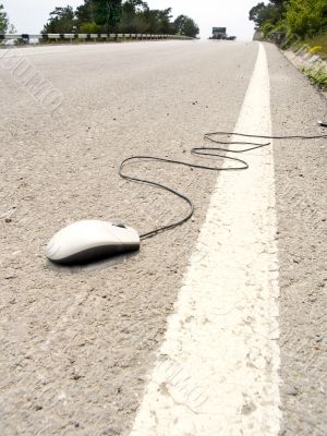Walk of the mouse