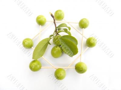 Composition from berries green plums