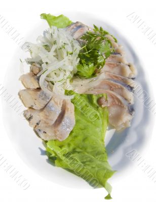 herring