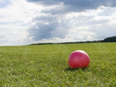 Game in a ball