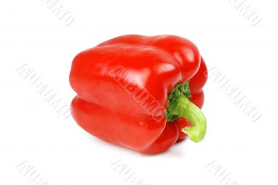 Red pepper