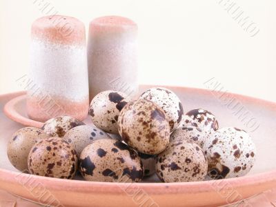 quail eggs