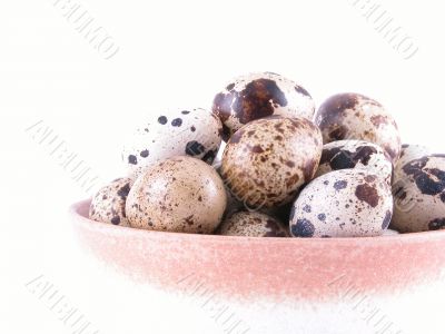 bowl of quail eggs