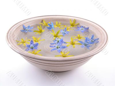 floating spring flowers