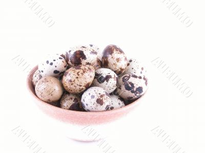 bowl of quail eggs