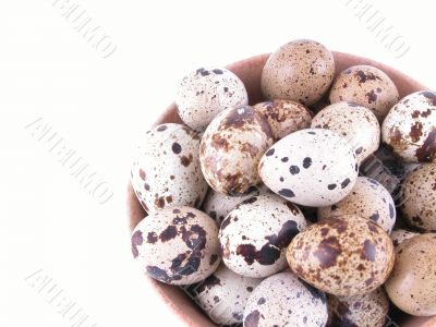 bowl of quail eggs