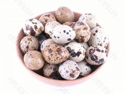 bowl of quail eggs