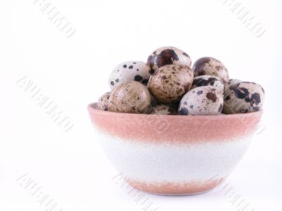 bowl of quail eggs