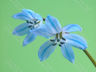 spring is here