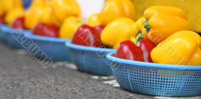 Vegetable market-abstract