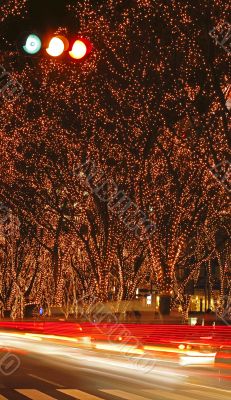 Sendai December illumination festival 2