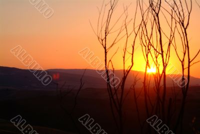 sunset