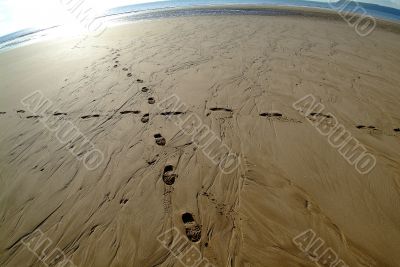traces in sand