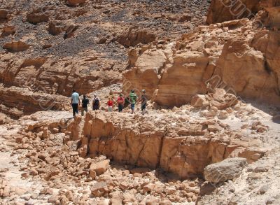 Group of the tourists