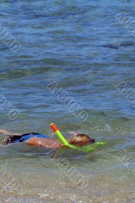 snorkeling in the sea