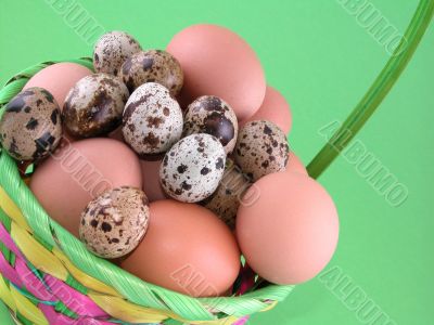basket full of eggs