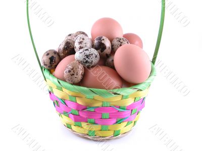 basket full of eggs