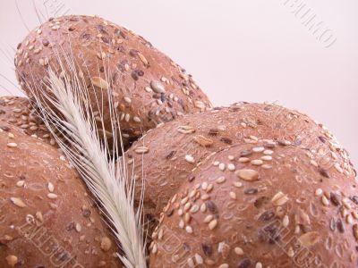 fresh rolls