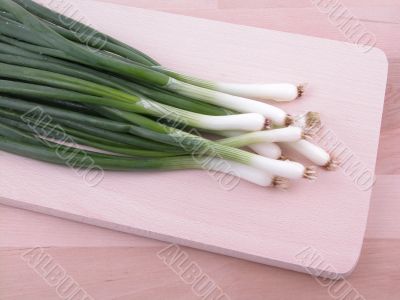 close-ups of young onions