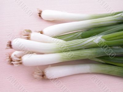 close-ups of young onions