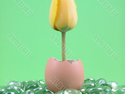 Easter decoration