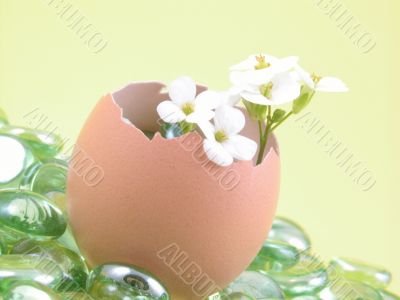 Easter decoration