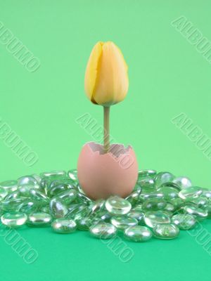 Easter decoration